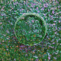 Emerald Shiner - Textured