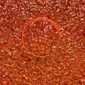 Koi - Textured