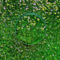Pea Puffer - Textured