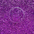 Royal Gramma - Textured