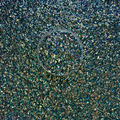 Aqua Pop - Bubble